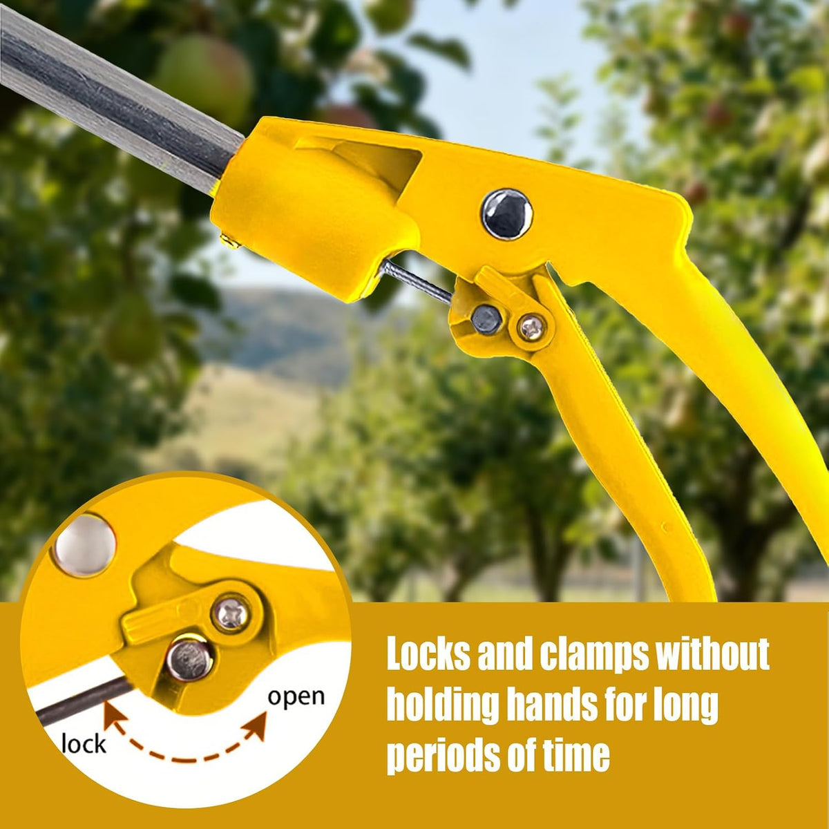 Telescopic Pole Pruner & Fruit Picker with Locking Adjustable Head