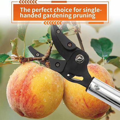 Telescopic Pole Pruner & Fruit Picker with Locking Adjustable Head