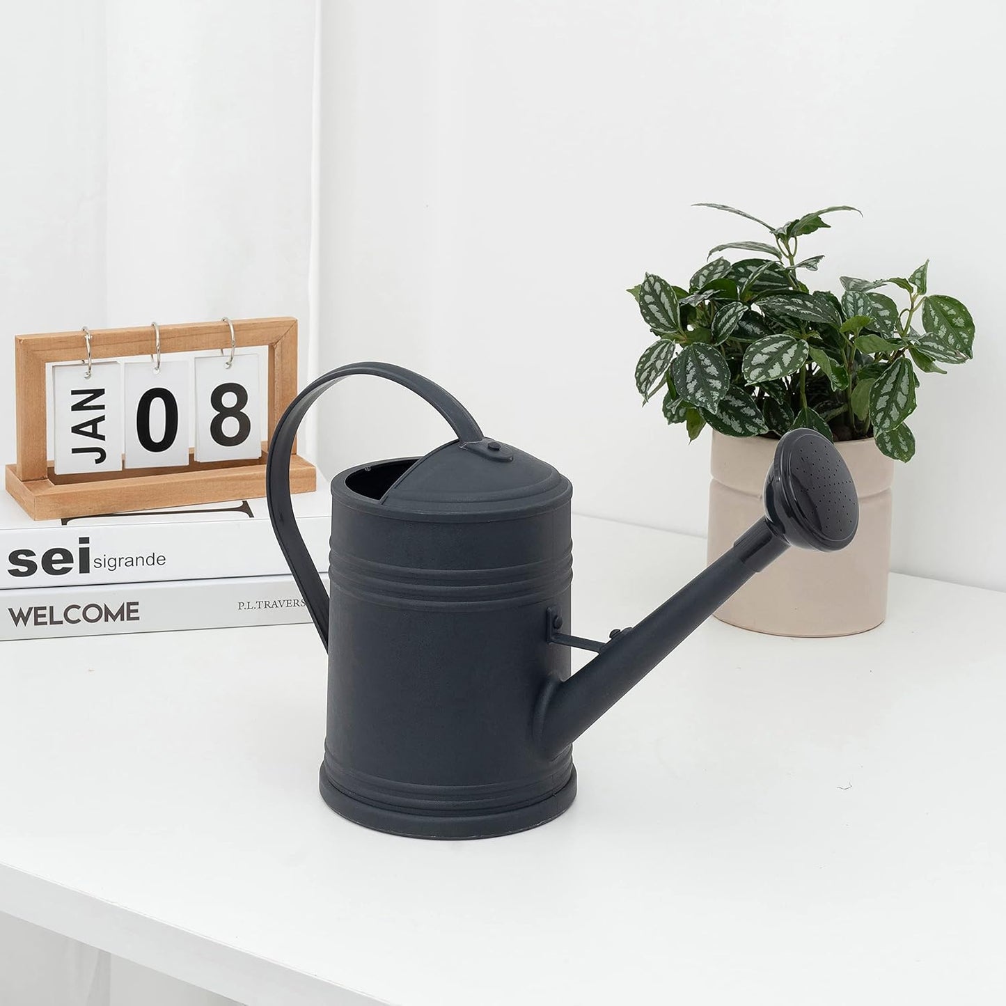 Watering Can for Indoor Plants, Flower Watering Can, Plastic Water Can for Plants with Sprinkler Head 68 oz, 1/2 Gallons