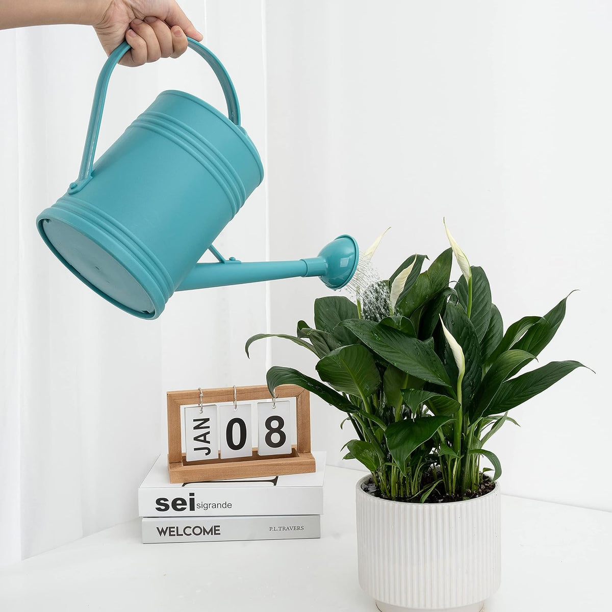 Watering Can for Indoor Plants, Flower Watering Can, Plastic Water Can for Plants with Sprinkler Head 68 oz, 1/2 Gallons