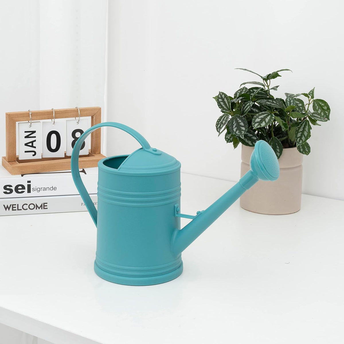 Watering Can for Indoor Plants, Flower Watering Can, Plastic Water Can for Plants with Sprinkler Head 68 oz, 1/2 Gallons