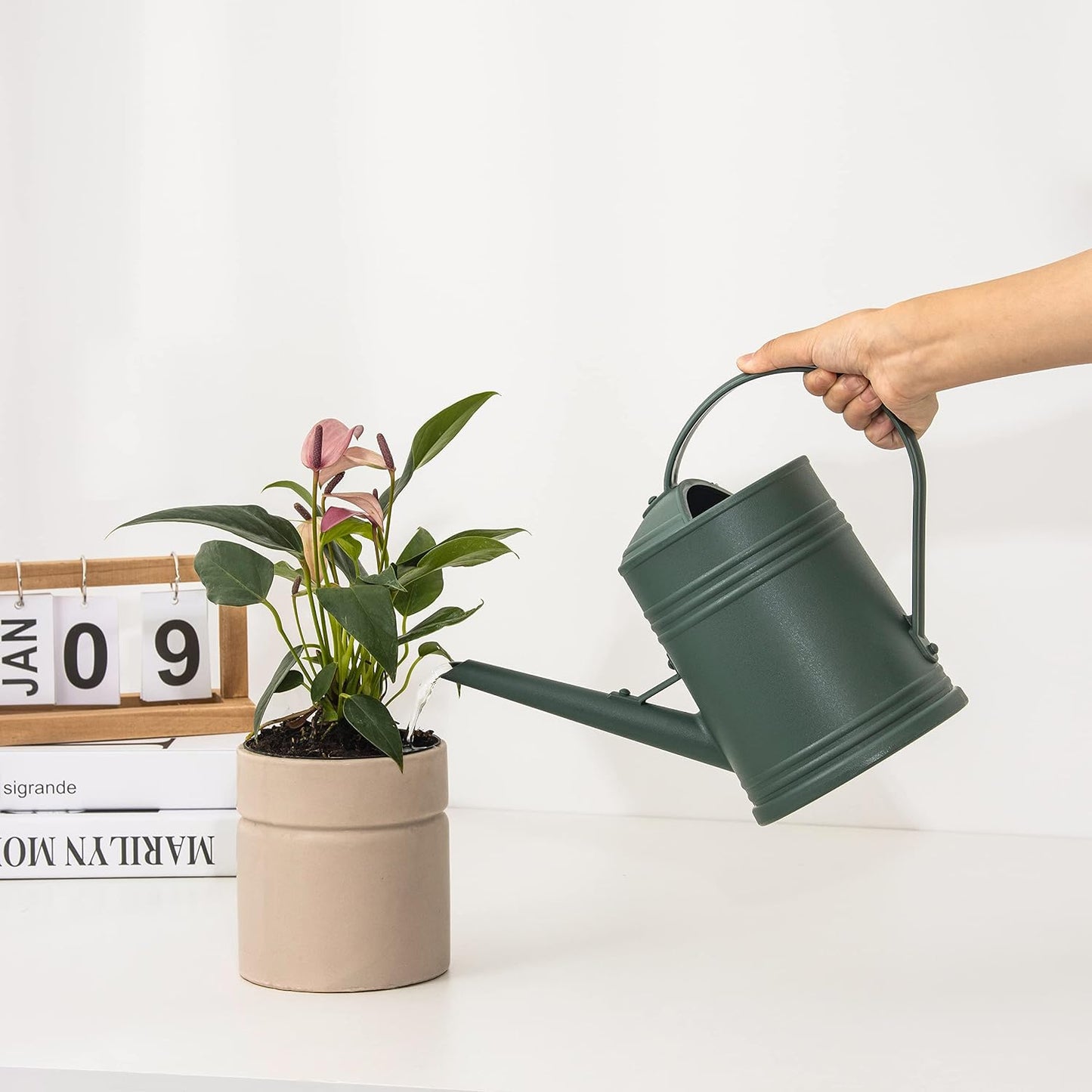 Watering Can for Indoor Plants, Flower Watering Can, Plastic Water Can for Plants with Sprinkler Head 68 oz, 1/2 Gallons