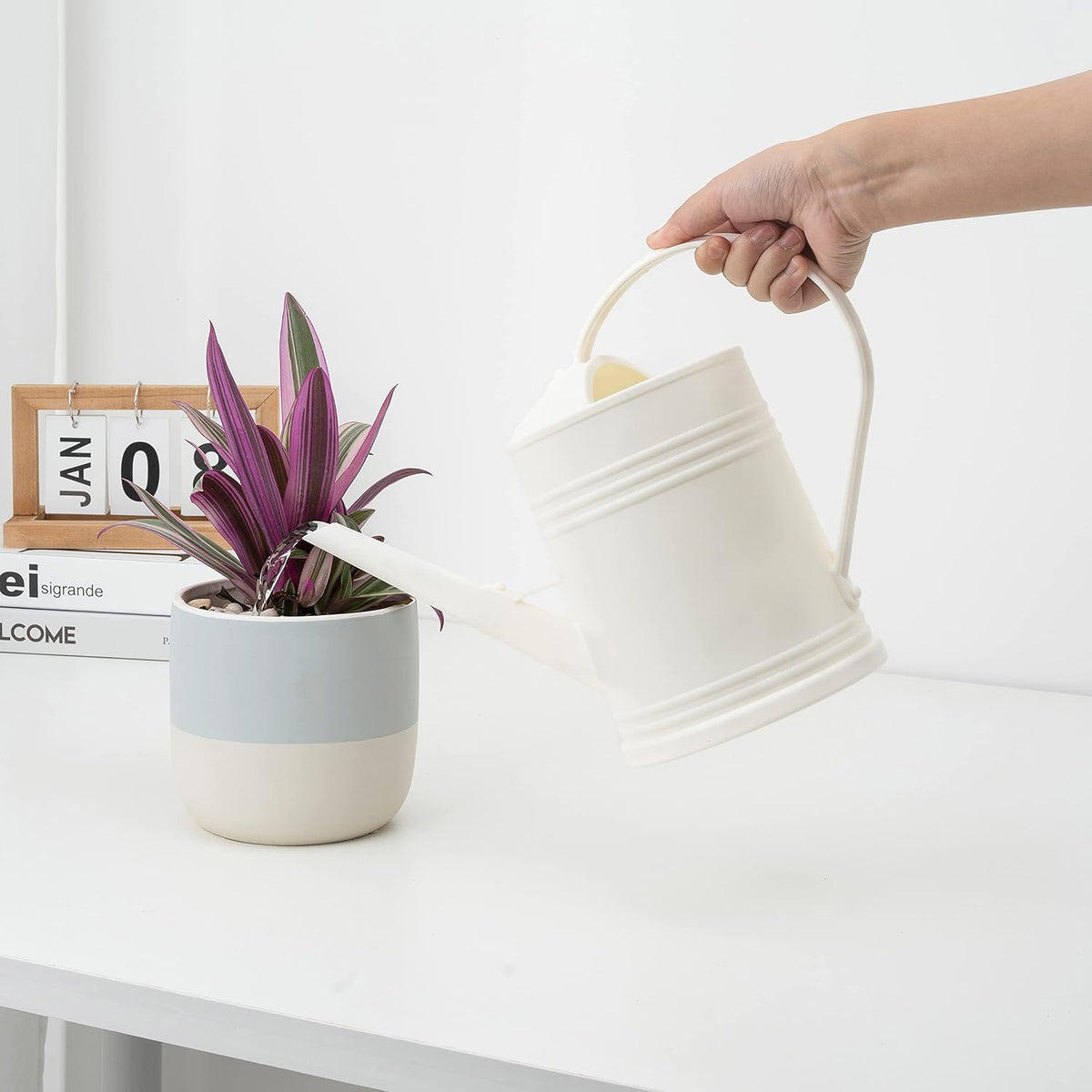 Watering Can for Indoor Plants, Flower Watering Can, Plastic Water Can for Plants with Sprinkler Head 68 oz, 1/2 Gallons