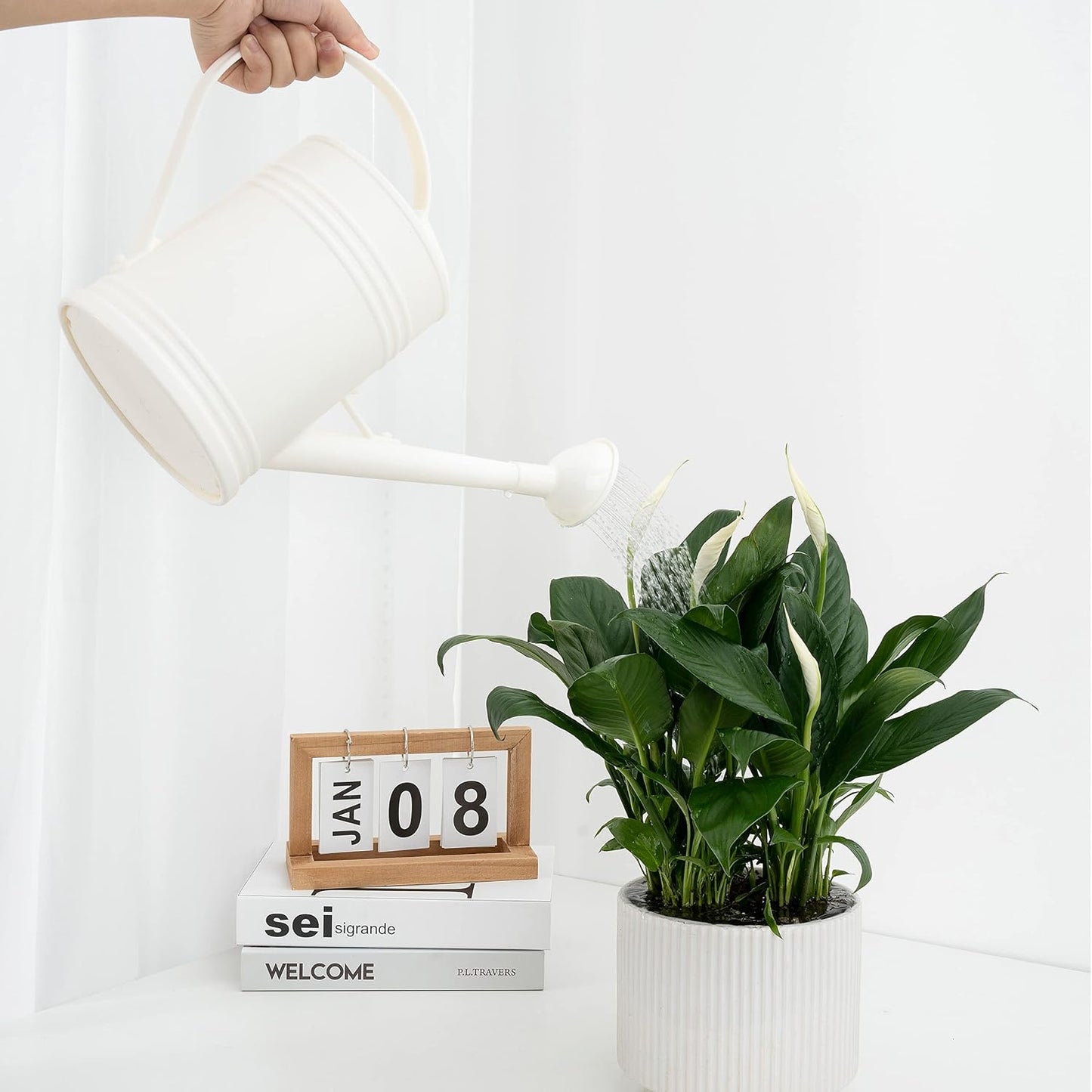Watering Can for Indoor Plants, Flower Watering Can, Plastic Water Can for Plants with Sprinkler Head 68 oz, 1/2 Gallons