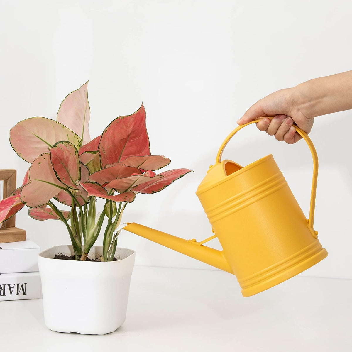 Watering Can for Indoor Plants, Flower Watering Can, Plastic Water Can for Plants with Sprinkler Head 68 oz, 1/2 Gallons