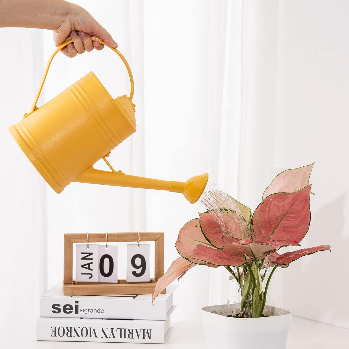 Watering Can for Indoor Plants, Flower Watering Can, Plastic Water Can for Plants with Sprinkler Head 68 oz, 1/2 Gallons