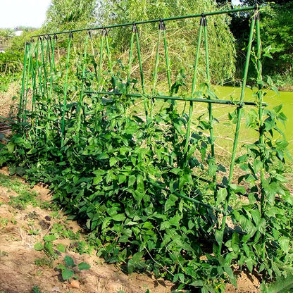 NANOPRETTY 6 FT Garden Stakes for Outdoor Plant Tree Stakes and Supports