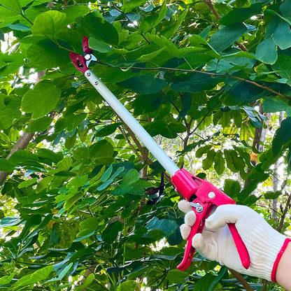 Tree Trimmer, 2 Foot Pole Pruner, Long Reach Pruning Shears, Cut and Hold Garden Clippers, Aluminum Lightweight Handle Fruit Picker, Branch Bypass Loppers