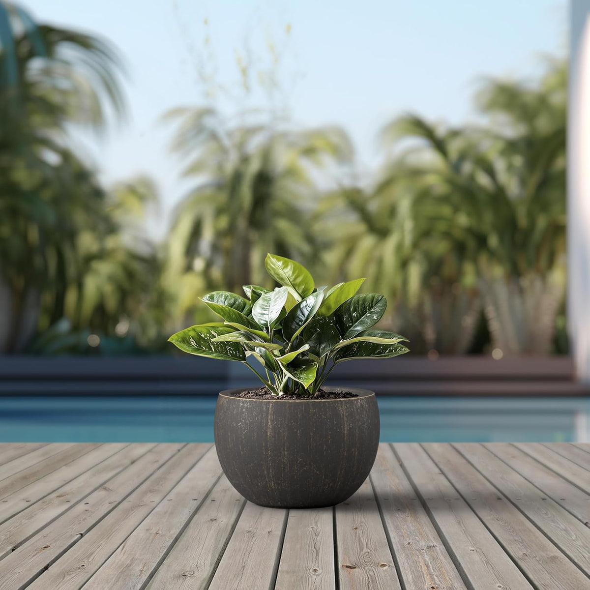 Large Round Bowl Vintage BRN Concrete Planter 19.9" Dia, Outdoor