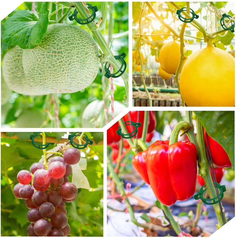 200 Pcs Plant Support Garden Clips, Tomato Clips, Crop Clips for Vine Vegetables, Fixing Tomato, Sweet Pepper, Eggplant, Makes Plants Grow Upright and Healthier