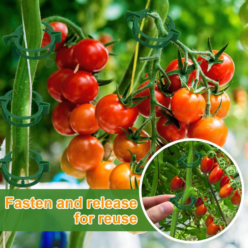 200 Pcs Plant Support Garden Clips, Tomato Clips, Crop Clips for Vine Vegetables, Fixing Tomato, Sweet Pepper, Eggplant, Makes Plants Grow Upright and Healthier