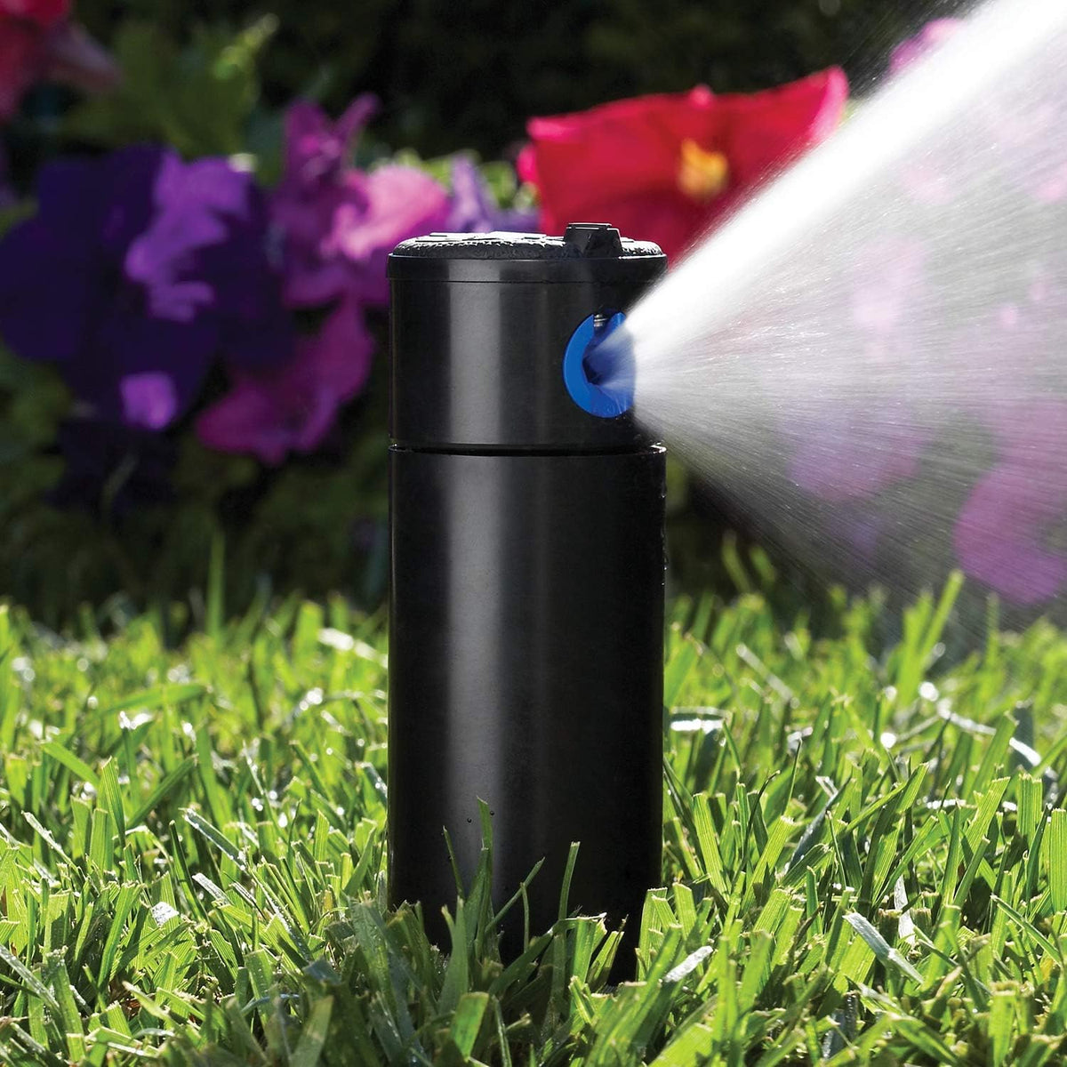 Hunter PGP-ADJ 3/4" Rotor Lawn Sprinkler Head, 22-52 ft, 4" Pop Up