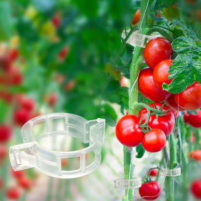 120 Pack Tomato Clips for Climbing Plants Garden Support Plant Trellis