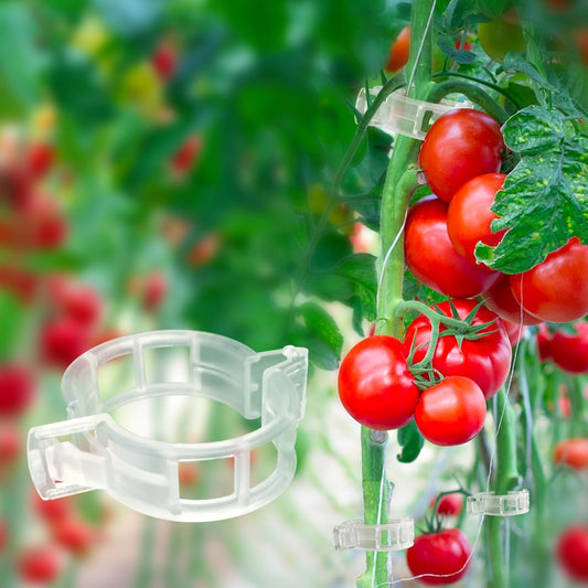 120 Pack Tomato Clips for Climbing Plants Garden Support Plant Trellis
