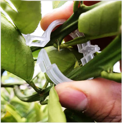 120 Pack Tomato Clips for Climbing Plants Garden Support Plant Trellis