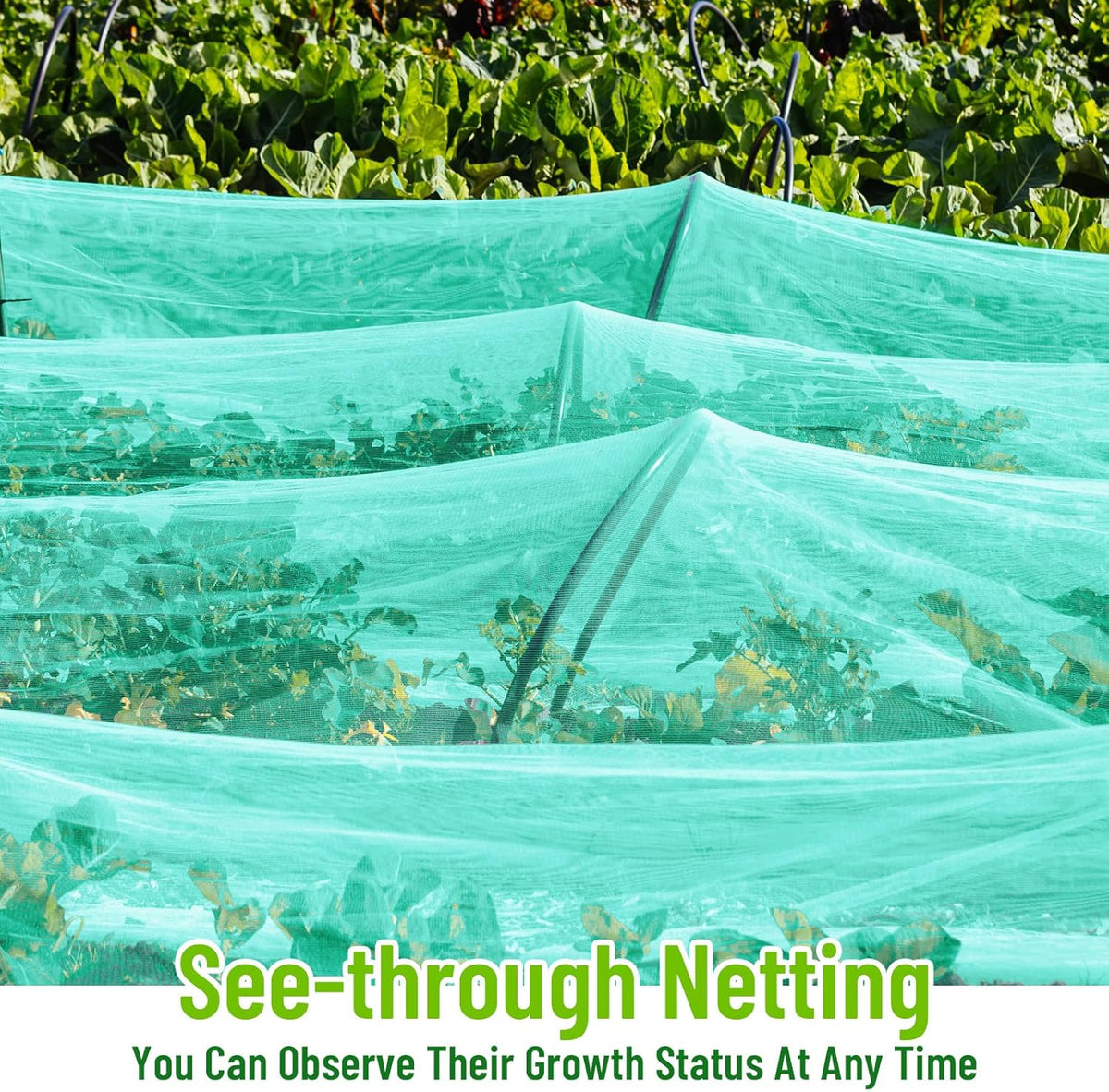 2 Pack Garden Netting 10 x 20 ft Ultra Fine Mesh Garden Netting Green Mesh Plant Cover Raised Beds Barrier Screen Protection for Vegetable Fruits Flowers Crops Greenhouse Rows from Birds Squirrels