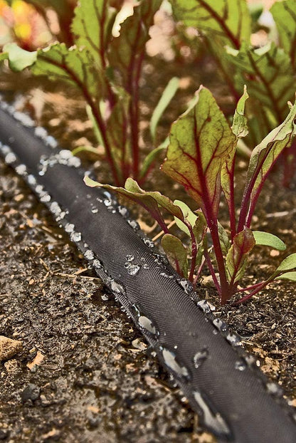 Flat Weeper Soaker Hose (25-Foot) - Drip Irrigation - Saves 70% Water - Drips Water Entire Length of Hose - Includes 3 Pressure Reducing Discs - NOT a Regular Garden Hose