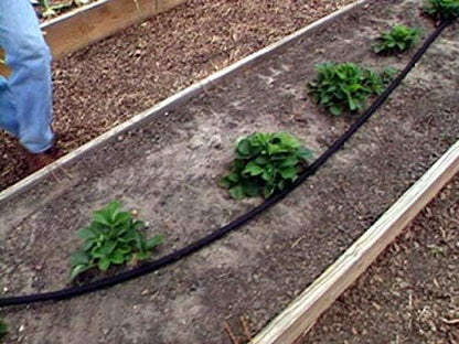Flat Weeper Soaker Hose (25-Foot) - Drip Irrigation - Saves 70% Water - Drips Water Entire Length of Hose - Includes 3 Pressure Reducing Discs - NOT a Regular Garden Hose
