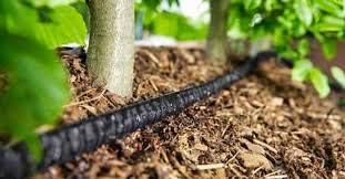 Flat Weeper Soaker Hose (25-Foot) - Drip Irrigation - Saves 70% Water - Drips Water Entire Length of Hose - Includes 3 Pressure Reducing Discs - NOT a Regular Garden Hose