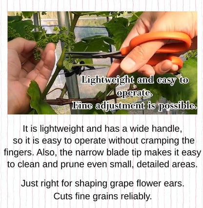 CHIKAMASA B-500SF Japanese Gardening Shears (2-Pack) with a Bonus Microfiber Cleaning Cloth - Fluorine Coated Stainless Steel Precision Trimmers for Grapes, Herbs, and Bonsai