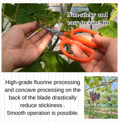 CHIKAMASA B-500SF Japanese Gardening Shears (2-Pack) with a Bonus Microfiber Cleaning Cloth - Fluorine Coated Stainless Steel Precision Trimmers for Grapes, Herbs, and Bonsai