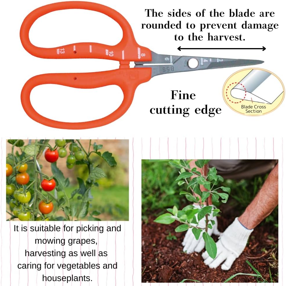 CHIKAMASA B-500SF Japanese Gardening Shears (2-Pack) with a Bonus Microfiber Cleaning Cloth - Fluorine Coated Stainless Steel Precision Trimmers for Grapes, Herbs, and Bonsai