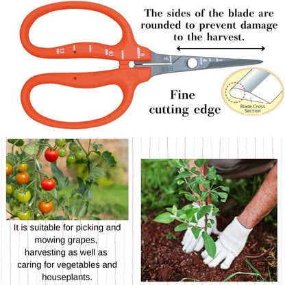 CHIKAMASA B-500SF Japanese Gardening Shears (2-Pack) with a Bonus Microfiber Cleaning Cloth - Fluorine Coated Stainless Steel Precision Trimmers for Grapes, Herbs, and Bonsai
