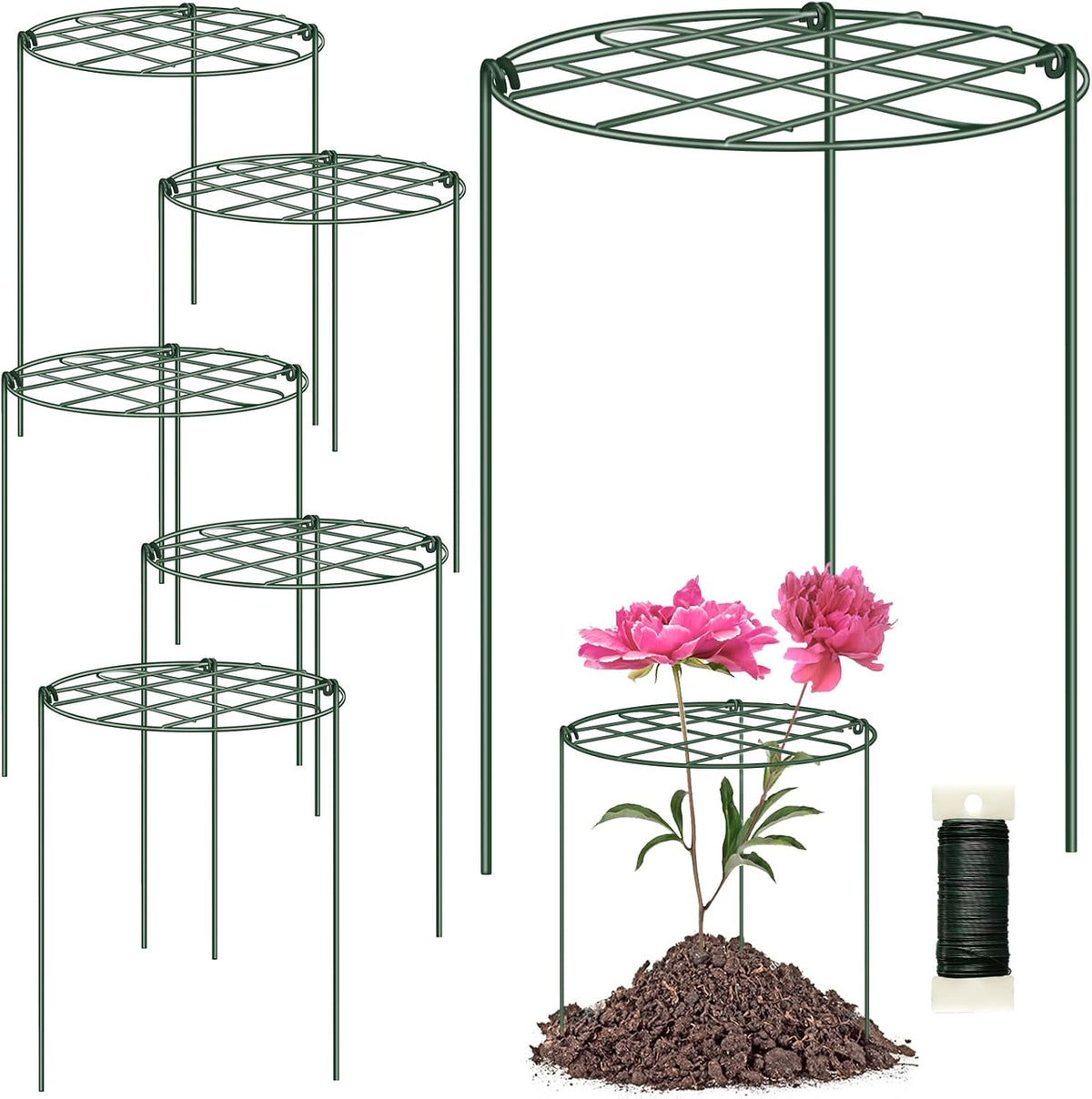 6 Pack 12 x 16 Inch Peony Cages and Supports for Outdoor Plants