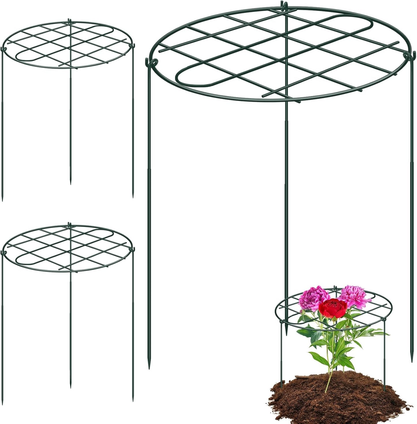 6 Pack 12 x 16 Inch Peony Cages and Supports for Outdoor Plants