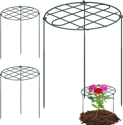 6 Pack 12 x 16 Inch Peony Cages and Supports for Outdoor Plants