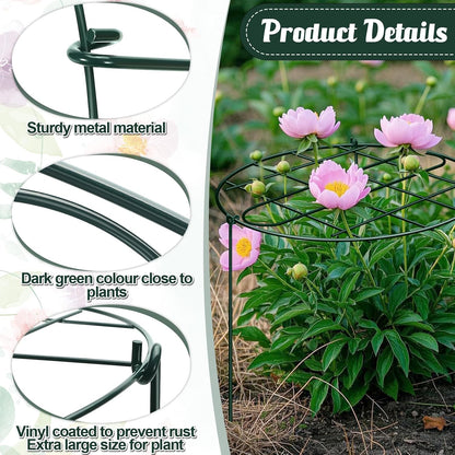 6 Pack 12 x 16 Inch Peony Cages and Supports for Outdoor Plants