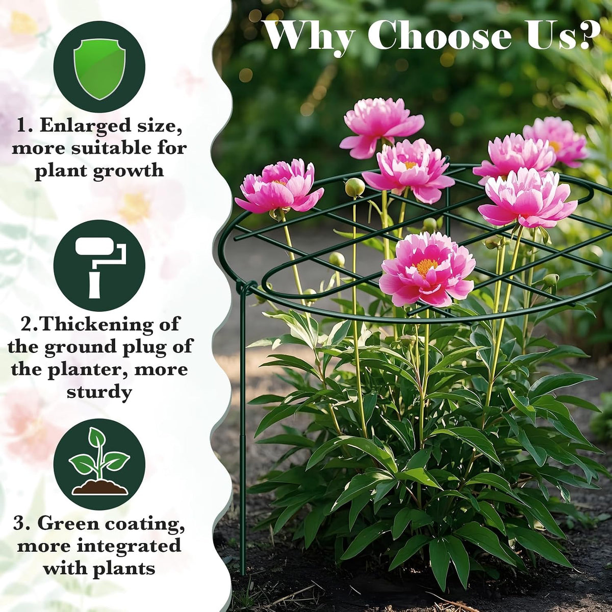 6 Pack 12 x 16 Inch Peony Cages and Supports for Outdoor Plants