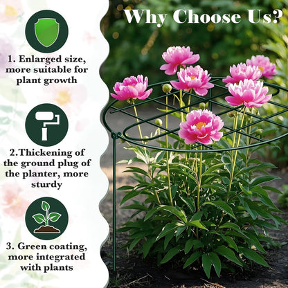 6 Pack 12 x 16 Inch Peony Cages and Supports for Outdoor Plants