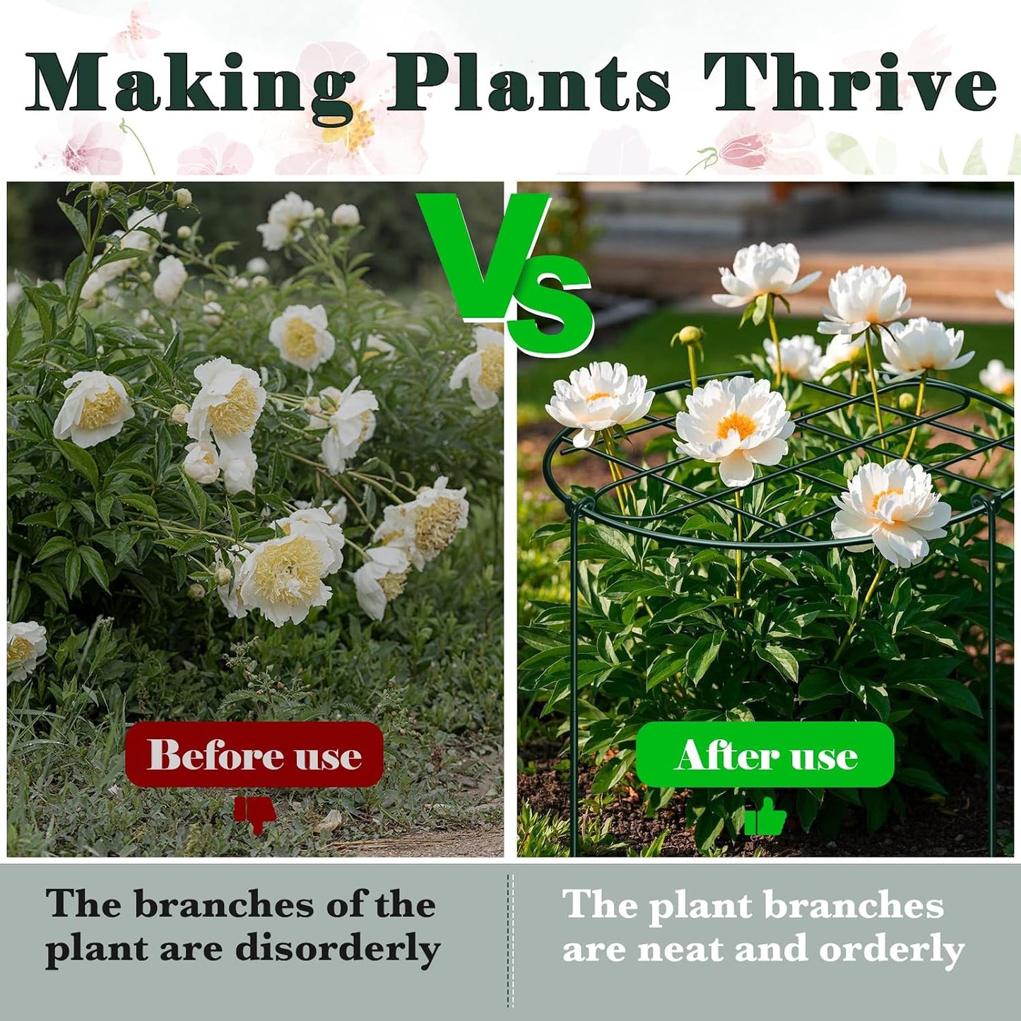6 Pack 12 x 16 Inch Peony Cages and Supports for Outdoor Plants
