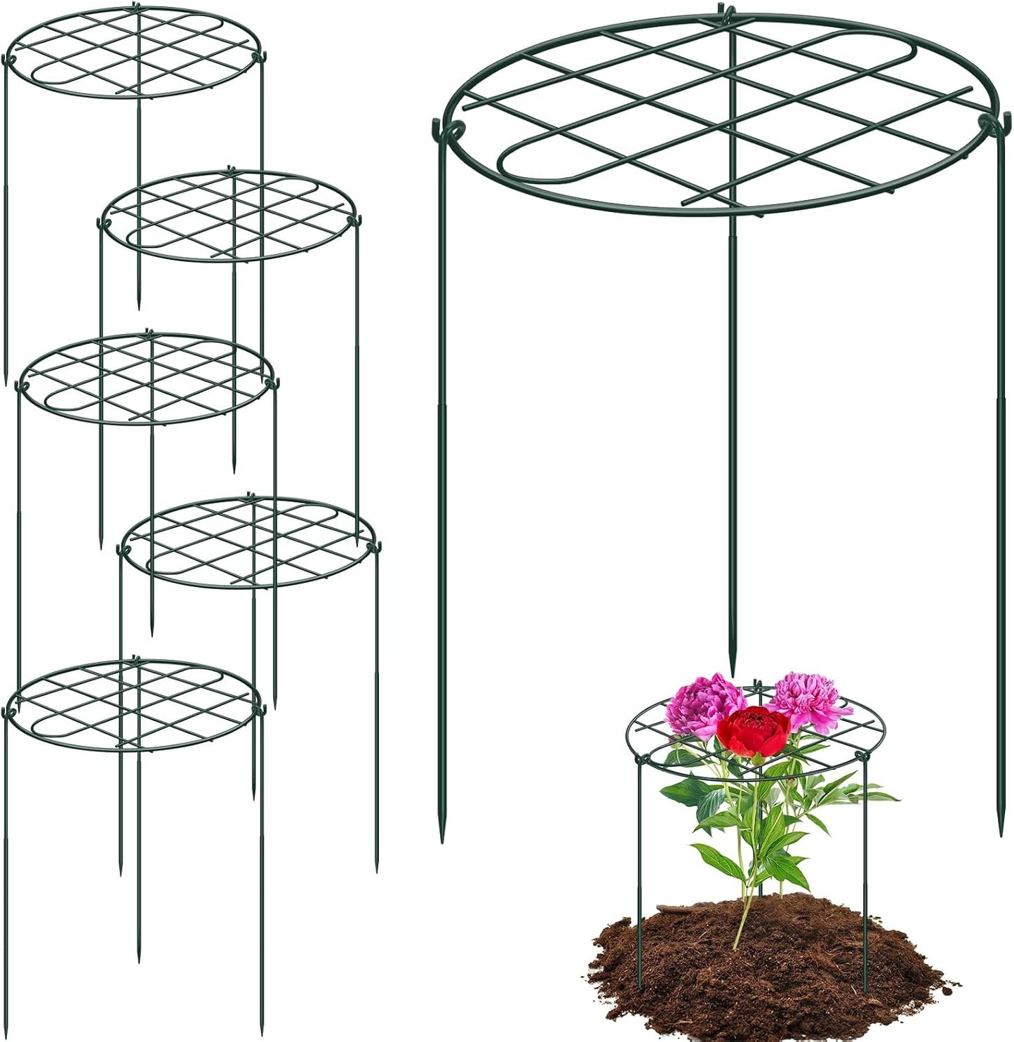 6 Pack 12 x 16 Inch Peony Cages and Supports for Outdoor Plants