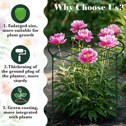 6 Pack 12 x 16 Inch Peony Cages and Supports for Outdoor Plants