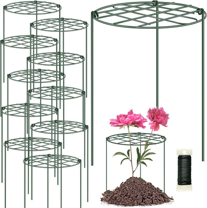 6 Pack 12 x 16 Inch Peony Cages and Supports for Outdoor Plants