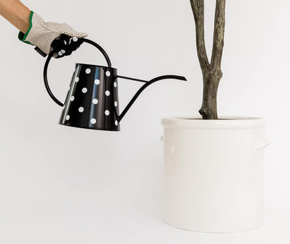 Metal Watering Can, Picture Dot