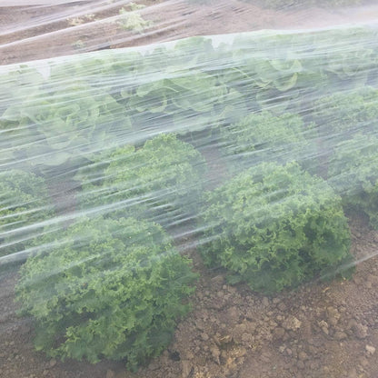 Luxiv White Garden Bug Netting, 6.5X16Ft Plant Barrier Mesh Insects Net