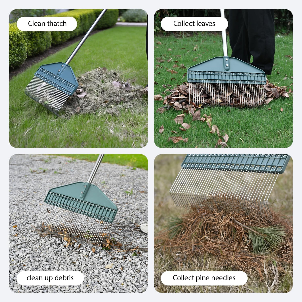Thatch Rake with 66 Inch Adjustable Handle