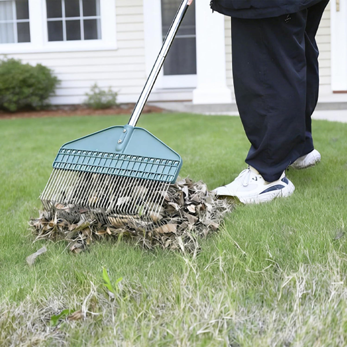 Thatch Rake with 66 Inch Adjustable Handle