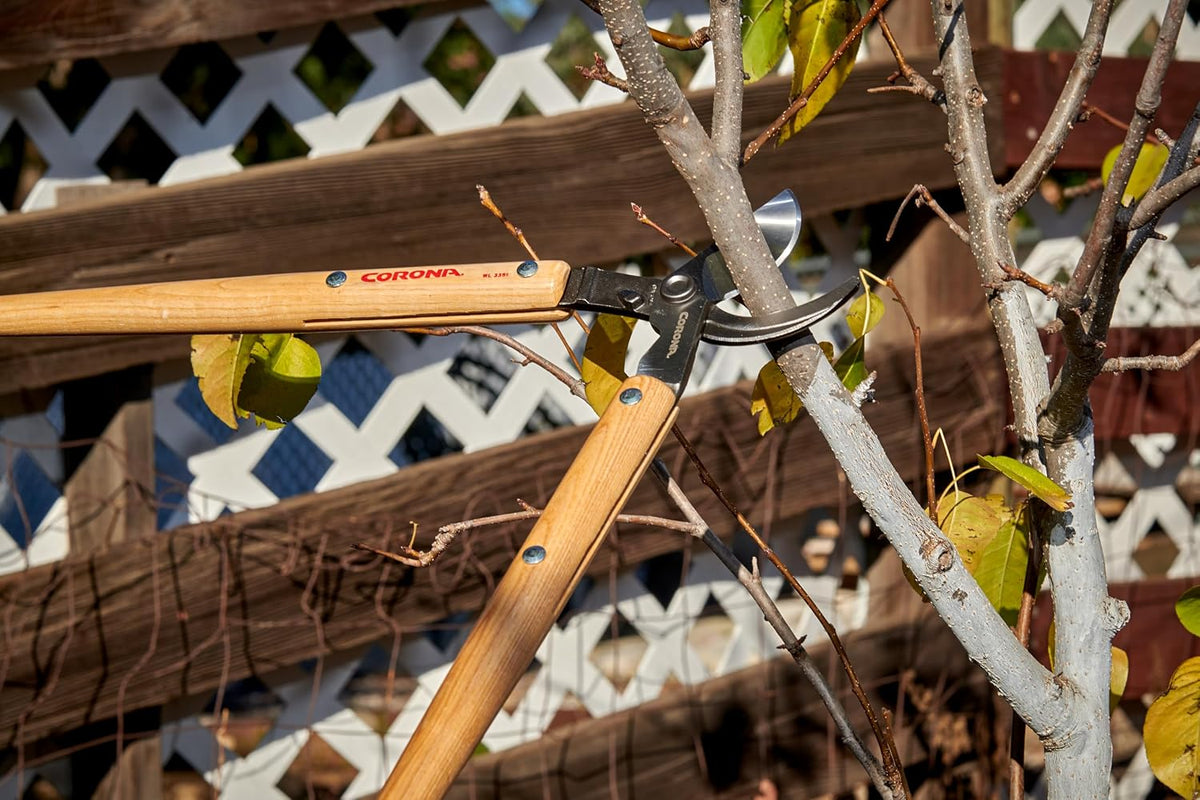 WL 3351 26″ Bypass Loppers – Heavy-Duty Branch Cutter for Trees, Shrubs & Landscaping