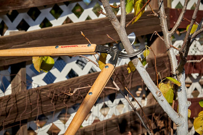 WL 3351 26″ Bypass Loppers – Heavy-Duty Branch Cutter for Trees, Shrubs & Landscaping