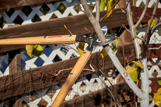 WL 3351 26″ Bypass Loppers – Heavy-Duty Branch Cutter for Trees, Shrubs & Landscaping