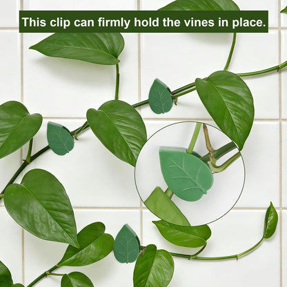 60 pcs Plant Wall Clips with 72 Pieces Acrylic Adhesive Sticker - Plant Climbing Wall Fixture Clips Plant Fixer Invisible Wall Vines Fixing Clips Self-Adhesive Hook Plant Clips