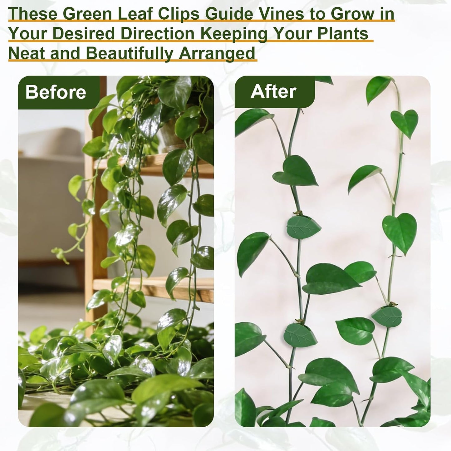 60 pcs Plant Wall Clips with 72 Pieces Acrylic Adhesive Sticker - Plant Climbing Wall Fixture Clips Plant Fixer Invisible Wall Vines Fixing Clips Self-Adhesive Hook Plant Clips