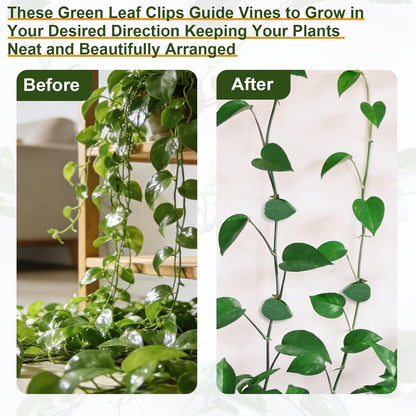 60 pcs Plant Wall Clips with 72 Pieces Acrylic Adhesive Sticker - Plant Climbing Wall Fixture Clips Plant Fixer Invisible Wall Vines Fixing Clips Self-Adhesive Hook Plant Clips
