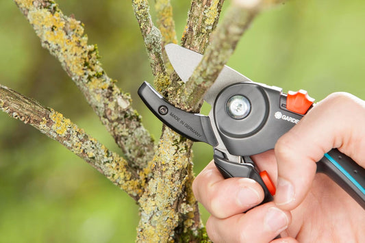 (8903) Heavy Duty Anvil Pruning Shears, Ergonomic Hand Tools, Bypass Scissors for Garden Pruners with 23mm Cutting Diameter for Woody Twigs and Branches - 1 Pair