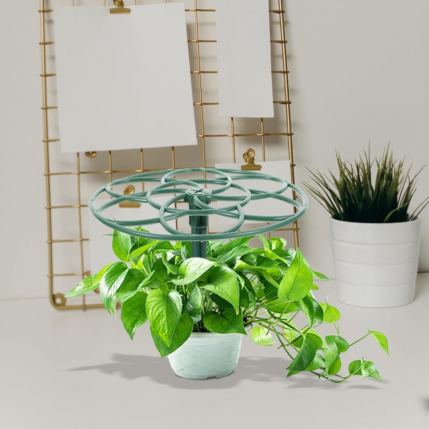 Flower Support Rack 2 Pack Sunflower Cage Lollipop Trellis for Climbing Plants PPE Plant Support Structure 11.02 X 11.02 X 9.84 in Easy Install Garden Plant Shape Rack