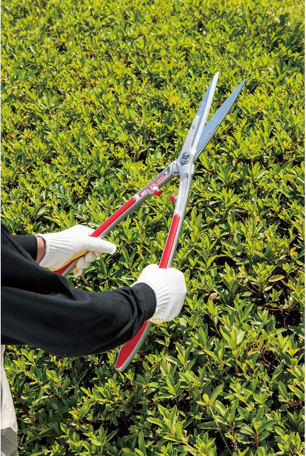 LPB-20S Vineyard Lopper